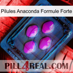 Anaconda Strong Formula Pills 04